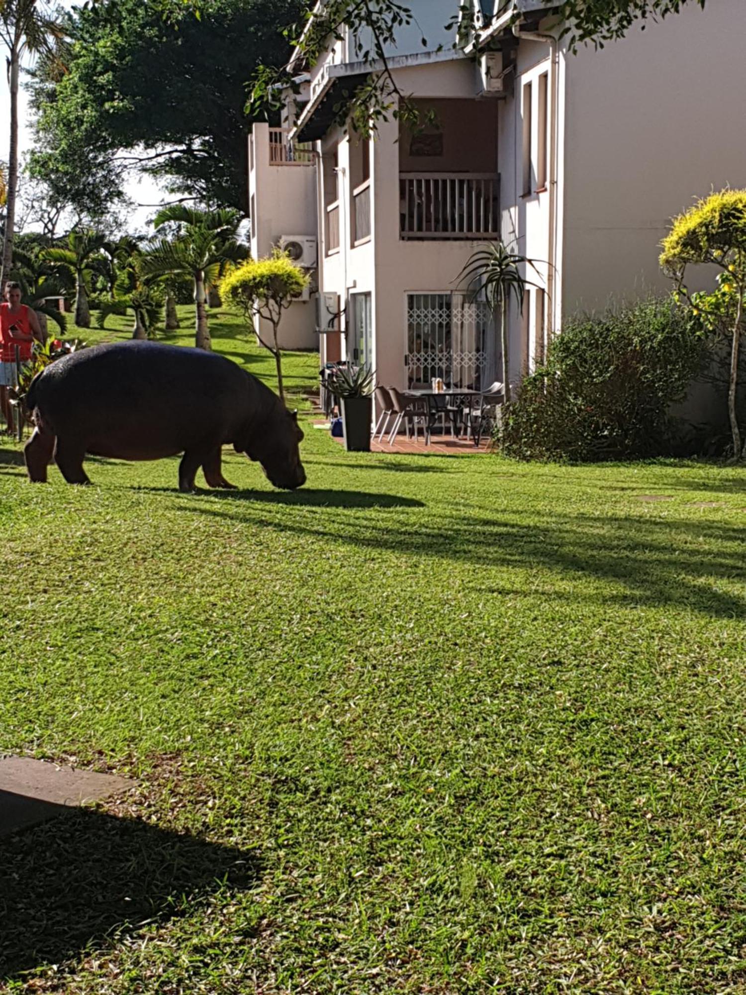 Apartamento Unit 30 The Bridge - Family Unit In A Prime Spot On The Ground Floor Saint Lucia Estuary Exterior foto